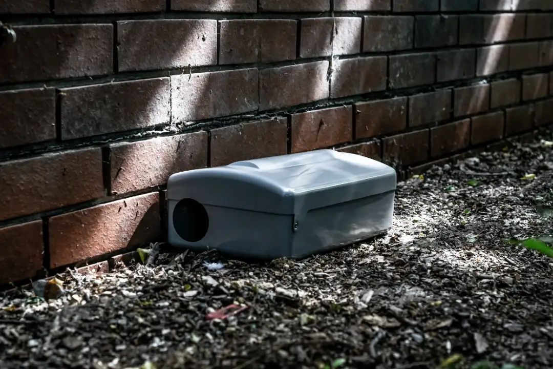 Perth Rodent Control Perth Rodent Control
