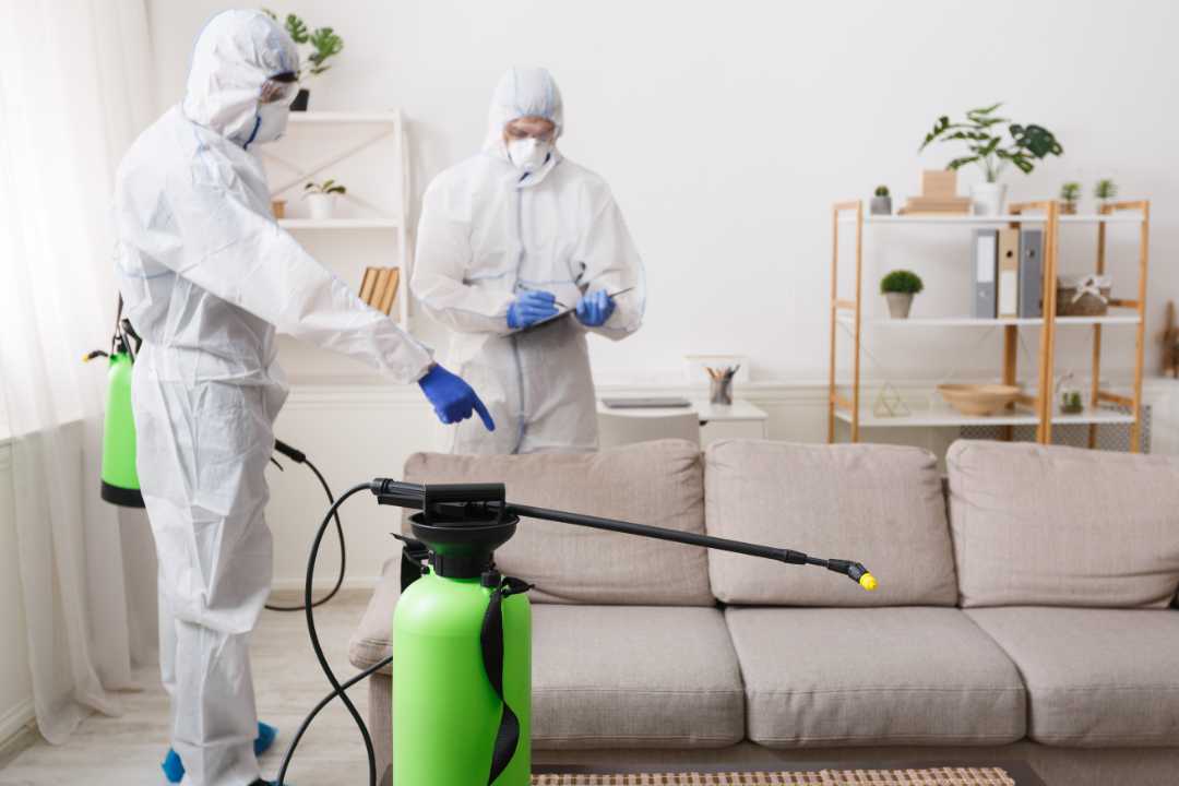 Pest Control Morley Pest Control Morley